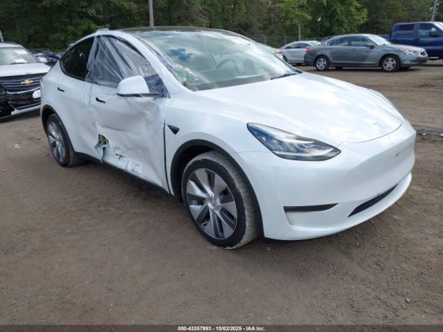 2023 TESLA MODEL Y 7SAYGDEE2PA040974 Photo 0