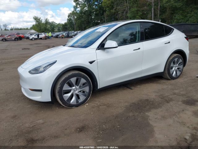 2023 TESLA MODEL Y 7SAYGDEE2PA040974 Photo 1