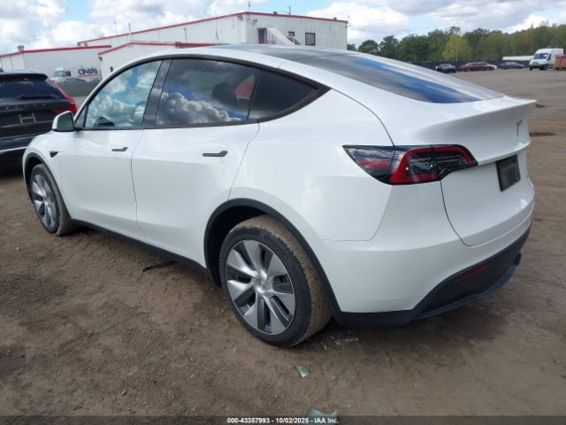 2023 TESLA MODEL Y 7SAYGDEE2PA040974 Photo 2