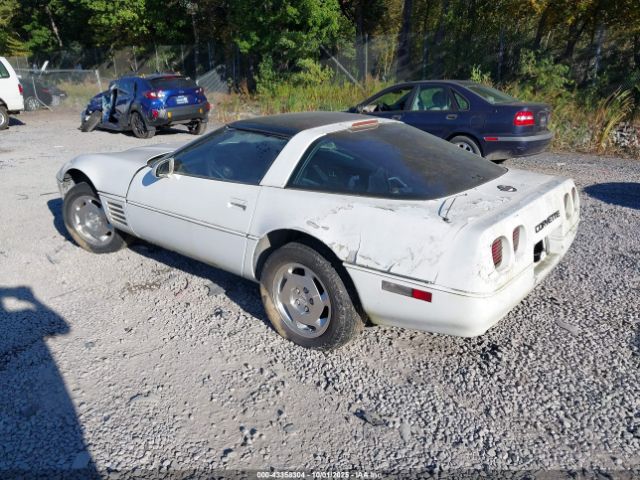 1988 CHEVROLET CORVETTE 1G1YY2184J5122059 Photo 2