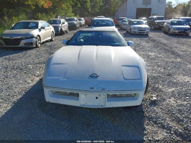 1988 CHEVROLET CORVETTE 1G1YY2184J5122059 Photo 5