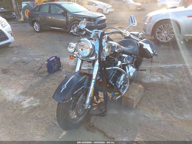 2009 HARLEY-DAVIDSON FLSTN 1HD1JD5199Y066599 Photo 1