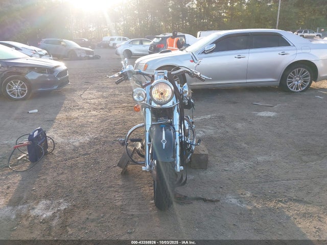 2009 HARLEY-DAVIDSON FLSTN 1HD1JD5199Y066599 Photo 4