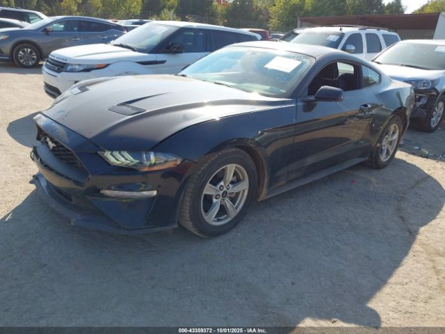 2020 FORD MUSTANG 1FA6P8THXL5130256 Photo 1