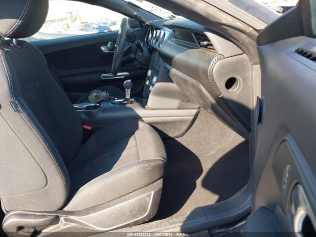 2020 FORD MUSTANG 1FA6P8THXL5130256 Photo 4