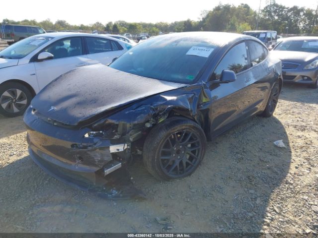 2025 TESLA MODEL 3 5YJ3E1EA5SF977242 Photo 1