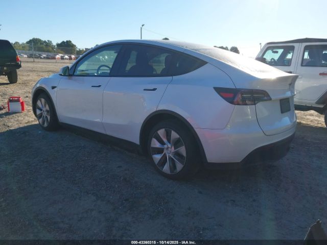 2023 TESLA MODEL Y 7SAYGDEE9PF702861 Photo 2