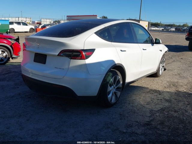 2023 TESLA MODEL Y 7SAYGDEE9PF702861 Photo 3