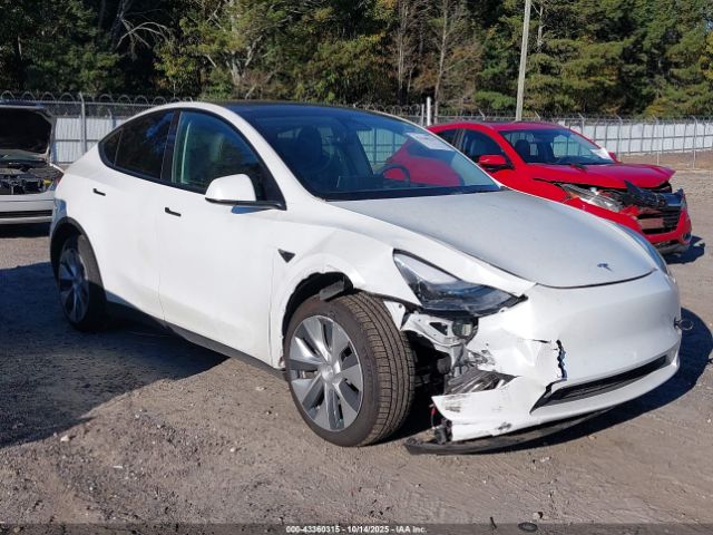 2023 TESLA MODEL Y 7SAYGDEE9PF702861 Photo 5