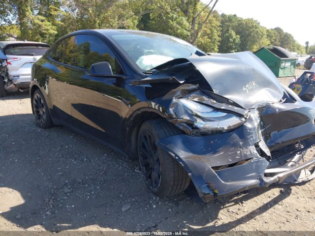 2023 TESLA MODEL Y 7SAYGAEE1PF614501 Photo 0