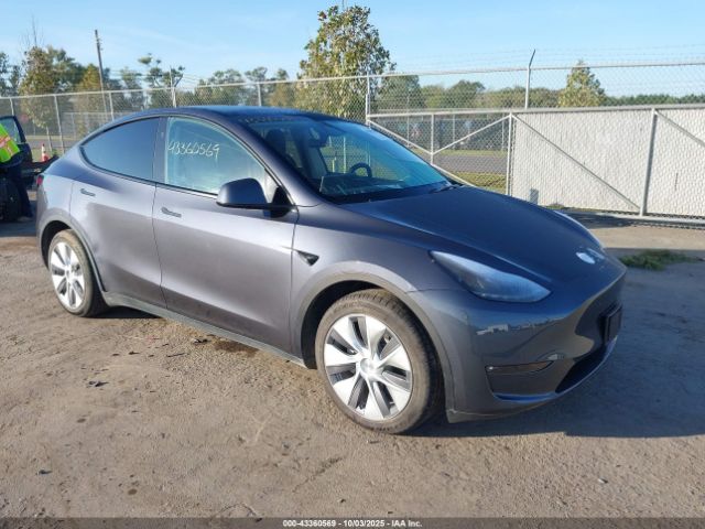 2023 TESLA MODEL Y 7SAYGDEE4PF860721 Photo 0