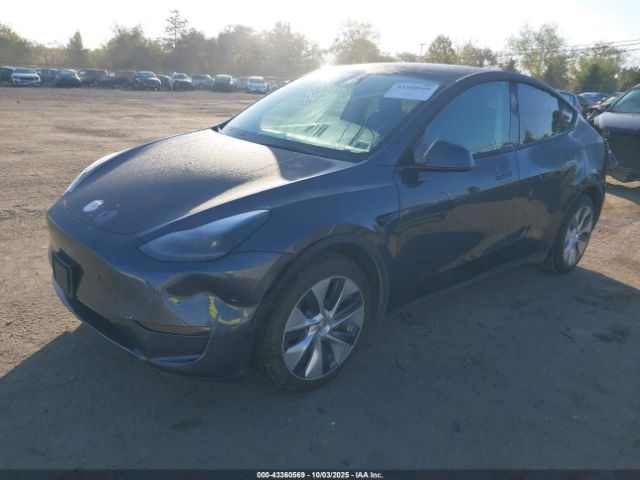 2023 TESLA MODEL Y 7SAYGDEE4PF860721 Photo 1