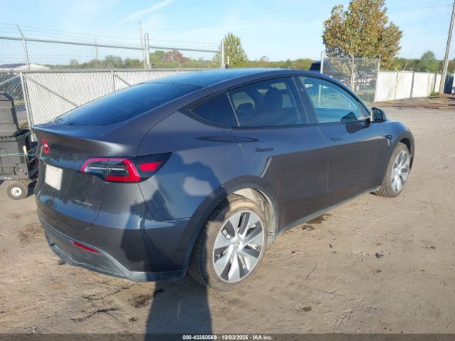 2023 TESLA MODEL Y 7SAYGDEE4PF860721 Photo 3