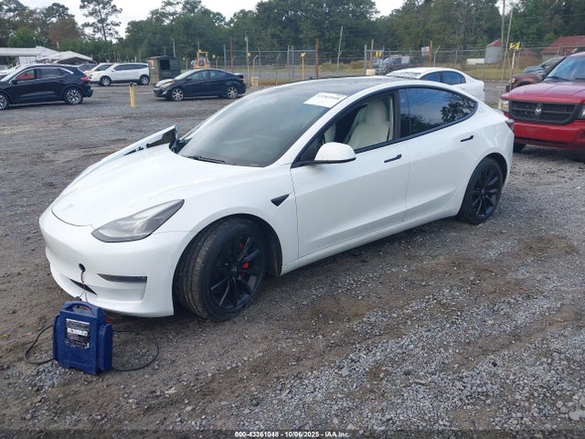 2021 TESLA MODEL 3 5YJ3E1EC9MF985056 Photo 1