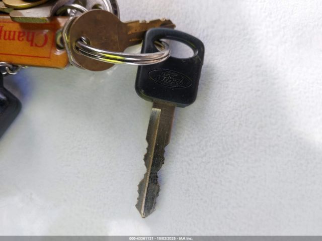 1993 FORD F150 1FTEX15Y4PKB52545 Photo 10