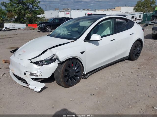 2023 TESLA MODEL Y 7SAYGDEF0PF601457 Photo 1