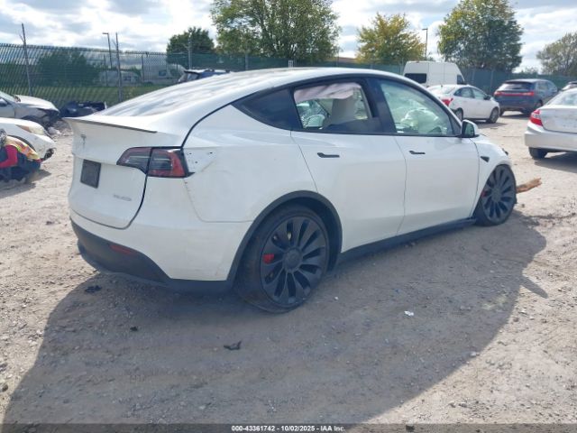 2023 TESLA MODEL Y 7SAYGDEF0PF601457 Photo 3