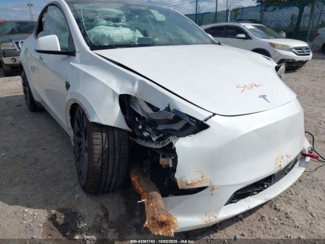 2023 TESLA MODEL Y 7SAYGDEF0PF601457 Photo 5