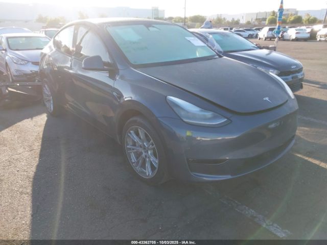 2022 TESLA MODEL Y 7SAYGDEE1NA020986 Photo 0