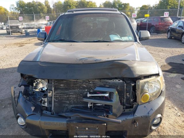 2008 FORD ESCAPE 1FMCU94188KE01266 Photo 5