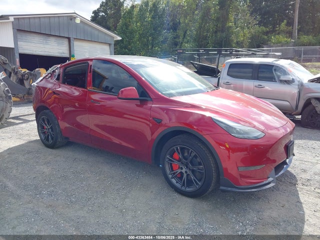 2024 TESLA MODEL Y 7SAYGDEDXRF212195 Photo 0