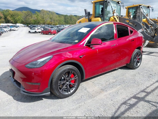 2024 TESLA MODEL Y 7SAYGDEDXRF212195 Photo 1