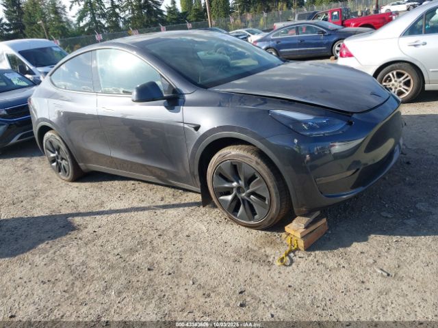 2024 TESLA MODEL Y 7SAYGDED3RF183932 Photo 0
