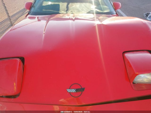 1995 CHEVROLET CORVETTE 1G1YY22P4S5115975 Photo 9