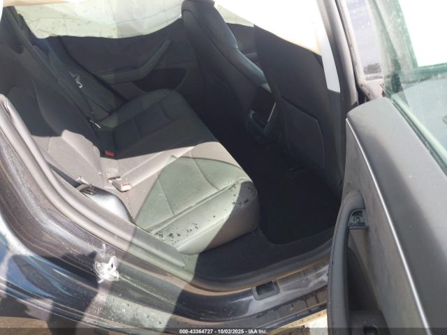 2025 TESLA MODEL 3 5YJ3E1EB3SF877455 Photo 7