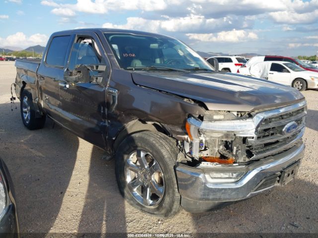 2023 FORD F-150 1FTEW1C5XPFA68203