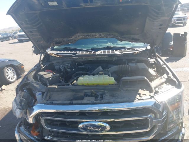2023 FORD F-150 1FTEW1C5XPFA68203 Photo 9