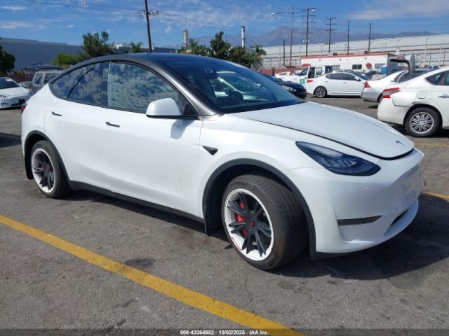2023 TESLA MODEL Y 7SAYGDEE0PA064707 Photo 0