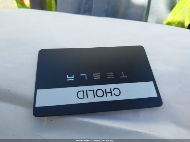 2023 TESLA MODEL Y 7SAYGDEE0PA064707 Photo 10