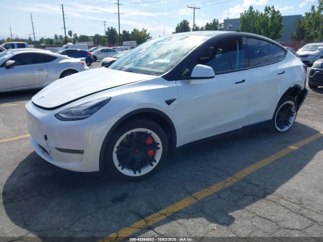 2023 TESLA MODEL Y 7SAYGDEE0PA064707 Photo 1