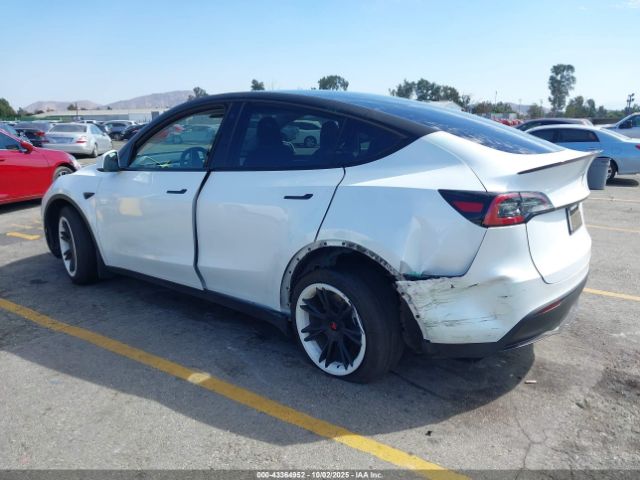 2023 TESLA MODEL Y 7SAYGDEE0PA064707 Photo 2