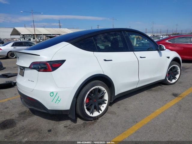 2023 TESLA MODEL Y 7SAYGDEE0PA064707 Photo 3