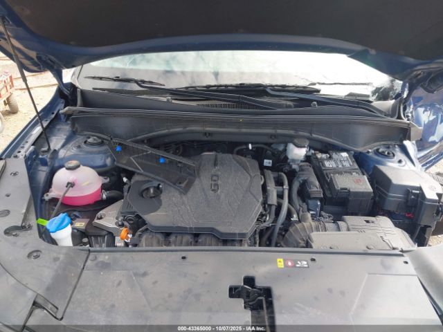 2025 KIA SORENTO 5XYRL4JC7SG363066 Photo 9