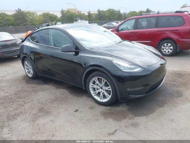 2021 TESLA MODEL Y 5YJYGAEE8MF218784