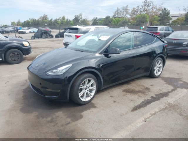 2021 TESLA MODEL Y 5YJYGAEE8MF218784 Photo 1