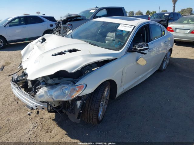 2010 JAGUAR XF SAJWA0JC4AMR49529 Photo 1