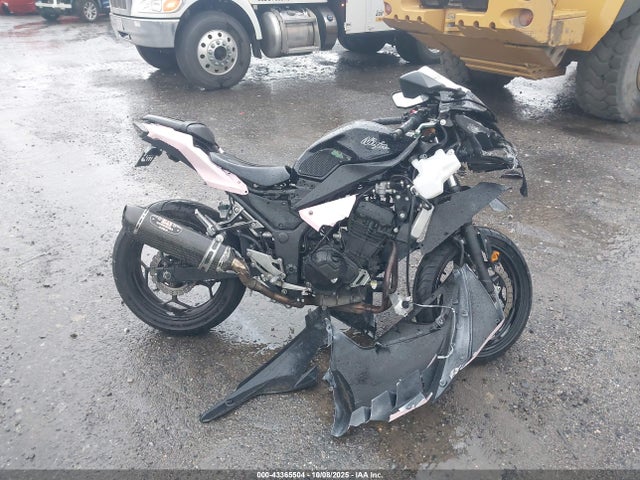 Kawasaki Ninja 300 2014 JKAEX8B18EA006632 Image 12
