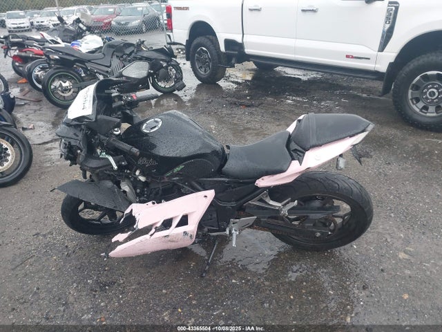 Kawasaki Ninja 300 2014 JKAEX8B18EA006632 Image 13