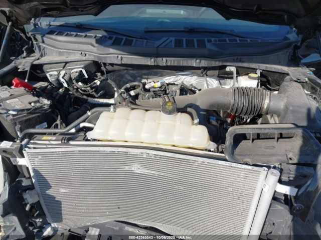 2024 FORD F-150 1FTEW3LP5RKD09270 Photo 9