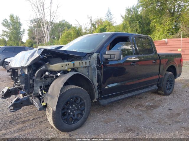 2024 FORD F-150 1FTEW3LP5RKD09270 Photo 1