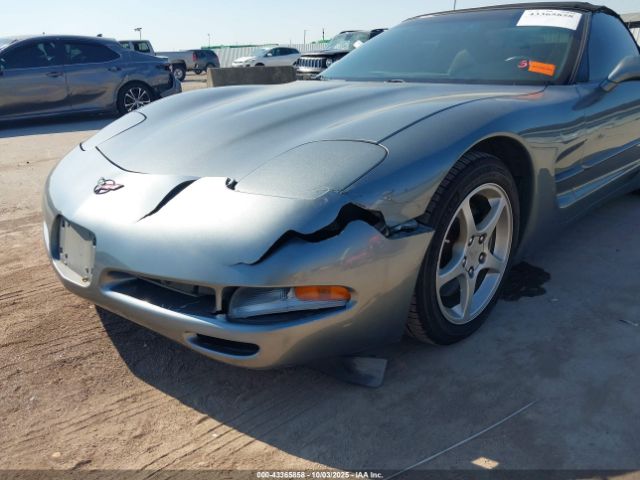 2004 CHEVROLET CORVETTE 1G1YY32GX45113124 Photo 5