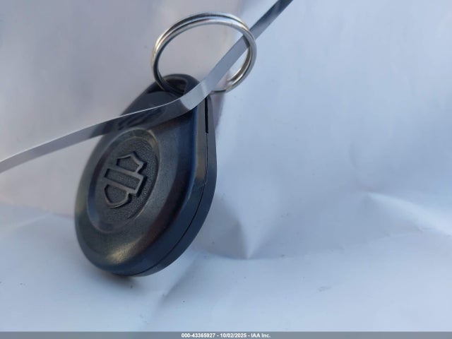 2016 HARLEY-DAVIDSON FLHR 1HD1FBM30GB620637 Photo 10