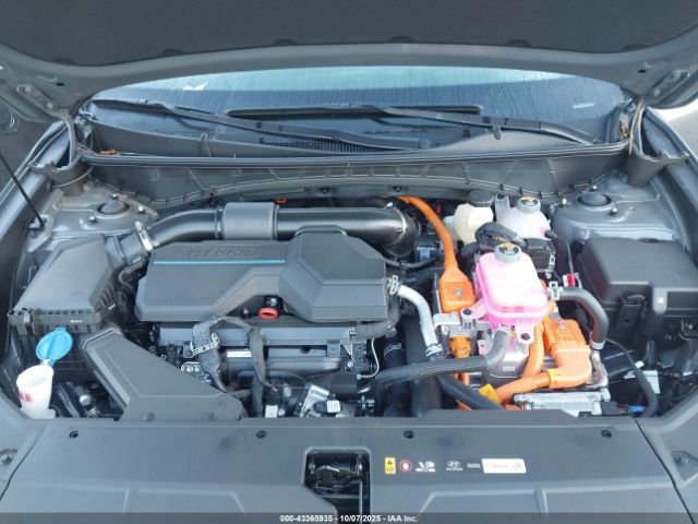 2025 HYUNDAI TUCSON HYBRID KM8JBDD12SU339164 Photo 9