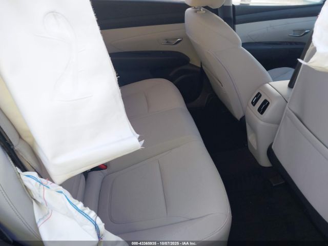 2025 HYUNDAI TUCSON HYBRID KM8JBDD12SU339164 Photo 7