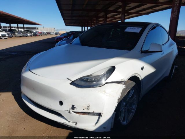 2022 TESLA MODEL Y 7SAYGDEE8NA012383 Photo 5