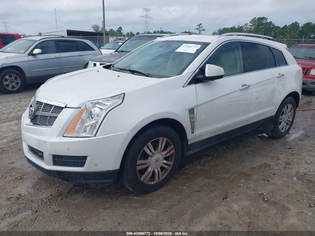 2010 CADILLAC SRX 3GYFNDEY8AS584489 Photo 1